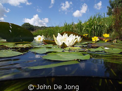 I will add some pictures of my freshwater experience the ... by John De Jong 